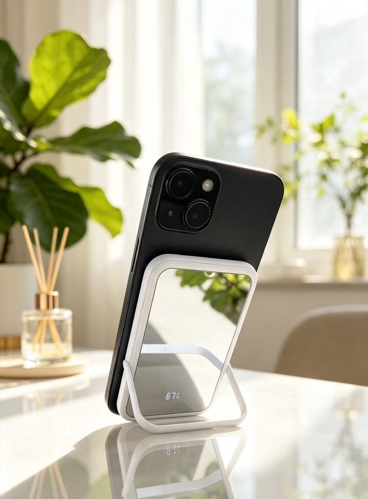 BG813-SnapMirror
